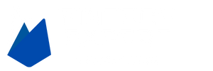 Fintech Expert